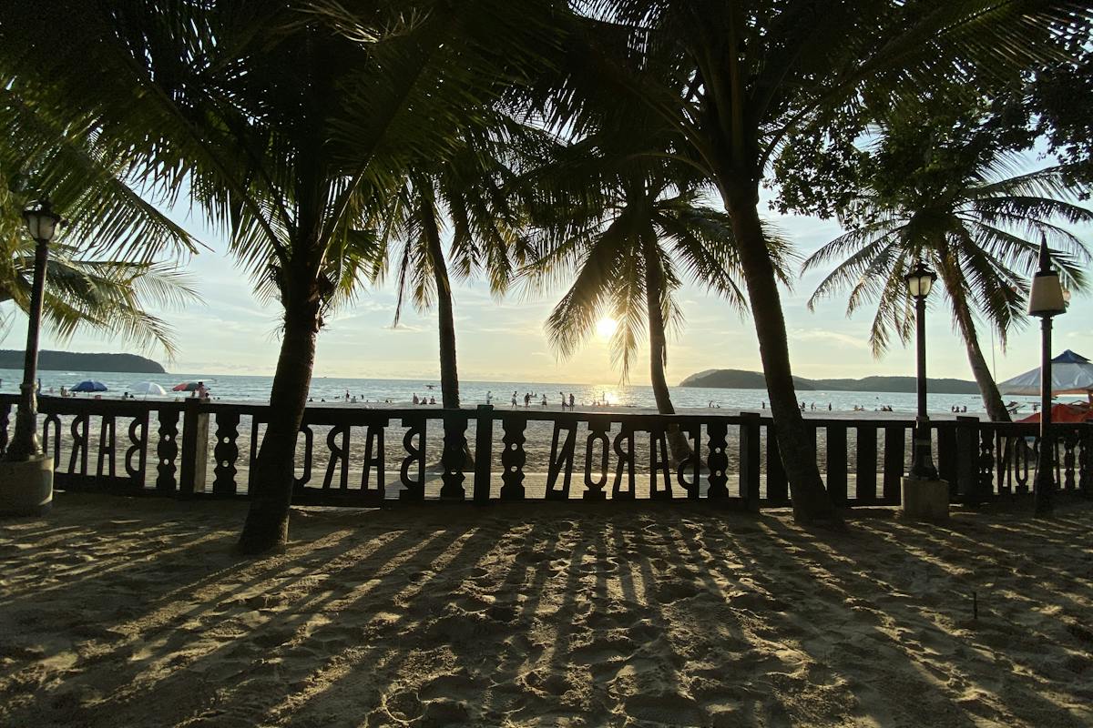 Palm trees and golden late-afternoon light on a Langkawi beach