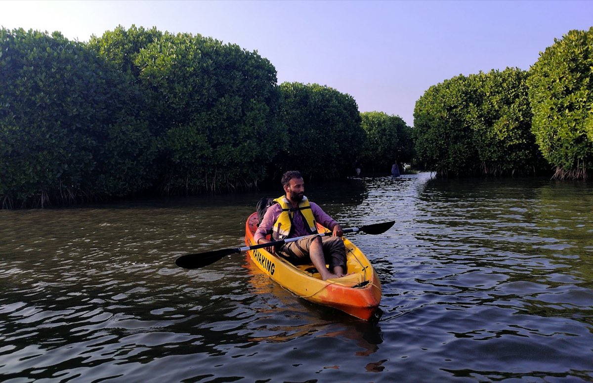 A guest paddling a yellow kayak along a calm mangrove channel